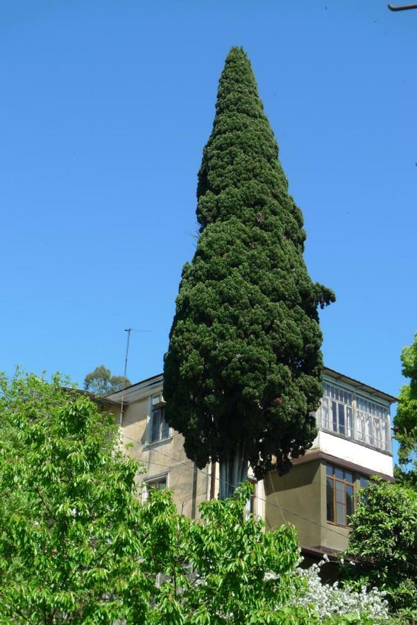 Old Town Guesthouse Sochumi Exterior foto